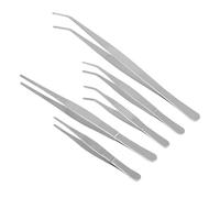 TOYANDONA 5pièces Pinces à Épiler Acier Inoxydable pour Plantes Succulentes Lot de Outils De Jardinage Compact pour Culture De Fleurs Et Micro Paysages Intérieurs