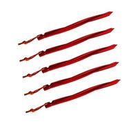 TOYANDONA 5Pièces Piquets de Spirale Camping Vent Accessoire de Aux Intempéries