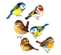 TOYANDONA 6 pièces Anti-collision Bird Window Clings Décoratifs et Amovibles pour Fenêtres Intérieures Protection Oiseaux et Décoration Maison Bureau