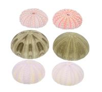 TOYANDONA 6 pièces Ornements Aquarium Naturels Coquilles Conques et Oursins Décoratifs pour Paysage Marin et Cachette Poissons Décoration Bord de Mer pour Vase et Table Couleur Aléatoire