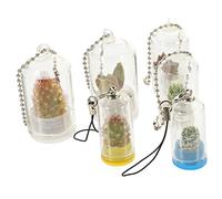 TOYANDONA 6 Pièces Porte-clés en Verre Charme végétal Vase Propagation Petit Accessoires de clés Faux Pendentif jardinière Miniature Pendentif Mini jardinière décoration de Table Un Verre