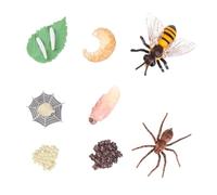 TOYANDONA 8 pièces Modèles Évolution Insectes Jouets Éducatifs Simulation Cycle de Vie pour Garçon Fille Décoration et Apprentissage