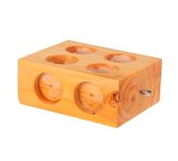 TOYANDONA Blocs Expérimentation Bois pour Physique Curseur De Friction pour Classe Outil Pédagogique pour Plans Inclinés Bloc Scientifique pour Laboratoire