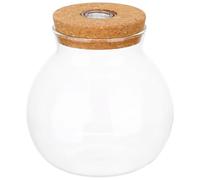 TOYANDONA Bocal Hydroponique pour Plantes avec Éclairage Intégré, Terrarium Verre Rond 15x16 Cm avec Couvercle Liège, Décoration Bureau Compacte, Récipient Propagation Végétale Hermétique