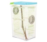 TOYANDONA Boîte Reptile Transparent pour Habitat Domestique Cage Élevage Adaptée aux Mantes et Phasmes Enclos Educatif pour Observation et Apprentissage des Reptiles