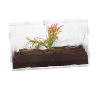 TOYANDONA Boîte Reptile Transparente Terrarium pour Lézards Araignées et Petits Animaux Enclos Acrylique avec Aération Accessoires