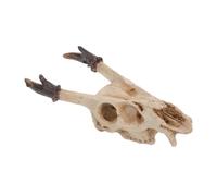 TOYANDONA Cachette Crâne pour Reptiles Décoration Grotte Terrarium Lézards Tortues Grenouilles Abri Habitat