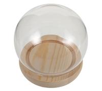TOYANDONA Cloche Verre Transparent avec Socle Bois Øcm Vitrine de Protection pour Fleurs Préservées et Figurines Argile Dôme de Présentation Décoratif Anti-poussière pour Maison et Bureau