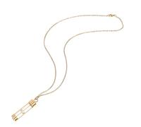 TOYANDONA Collier Cinéraire Urne pour Cendres Animaux avec Pendentif Sablier Commémoratif Unique pour Garder Souvenirs Près