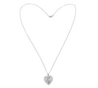 TOYANDONA Collier Urne Cendres Acier Inoxydable Forme de Cœur pour Animaux de Compagnie Pendentif Souvenir Durable et pour Chérir la Mémoire de