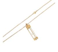 TOYANDONA Collier Urne Cinéraire en Acier Inoxydable pour Cendres d'animaux