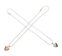 TOYANDONA Collier Urne Commémoratif pour Animaux de Compagnie Lot de 2 Pendentifs Urnes en Acier Inoxydable de Cœur Souvenir de Cendres de Chien et Chat Bijou Funéraire Léger et