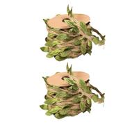 TOYANDONA Corde Naturelle pour Griffoir à Chat 2 Rouleaux 5 M par Rouleau Corde Résistante et Solide pour Colonne de Chat DIY Accessoire Remplacement Grattoir Intérieur Animaux