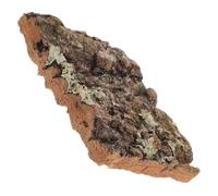 TOYANDONA Cork Bark Naturel pour Décor De Terrarium Et Aquarium Arrière-Plan Écorce De Chêne pour Habitat De Reptiles Et Décor De Mur De Plantes Dimensions