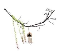 TOYANDONA Décoration Reptile Vigne Grimpante Naturelle avec Noix et Grotte pour Terrarium et Aquarium Accessoires Réservoir Résistants sans pour Cachette et Aménagement de Reptiles