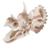 TOYANDONA Décoration Triceratops À Thème Bébé Dinosaure Décorations d'anniversaire Réservoir Fête Halloween Enfants Squelette Dinosaure Crâne Petite Cour Aquarium Ornement Artificiel