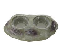 TOYANDONA Distributeur Magnétique Suspendu Double Bol pour Reptiles Vert Clair, 5 Pièces avec 4 Bols, Plateforme d'alimentation pour Terrarium, Mangeoire et Récipient d'eau pour Geckos,