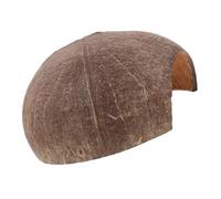 TOYANDONA Grotte pour Reptiles Cachette pour Dragon Barbu Abri Résine pour Gecko Léopard Tortue Maison De Repos pour Reptiles Décoration Naturelle pour Terrarium