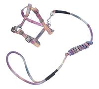 TOYANDONA Harnais et Laisse pour Chat Réglables Pratique pour Promenade avec Design Adorable et Couleur Lively Échappement Sécurisé pour et Petits Chiens