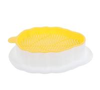TOYANDONA Jardinière Hydroponique pour Herbe à Chat Jardinière sans Terre pour Chat Domestique pour Pépinière Pot pour Maison