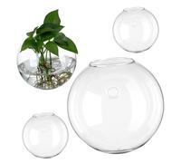 TOYANDONA Jardinières Murales en Verre Transparent 13,5 Cm Multiplication De Plantes D'intérieur, Support Mural Suspendu 4 Pièces, Décoration Murale Idéale pour Salon Et Bureau