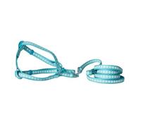 TOYANDONA Laisse pour Animaux De Compagnie Chaton Laisse De Marche Mener Animal De Compagnie Petits Chiens De Taille Moyenne pour Corde Universelle pour Chien pour Chiens Trousse Petit Nylon