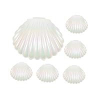 TOYANDONA Lot de 12 Boîtes Décoratives de Coquillage Perlées, Petites Boîtes en Plastique Blanc Nacré, Coffrets de Rangement pour Bijoux et Présents de Fête, pour Mariages et Événements
