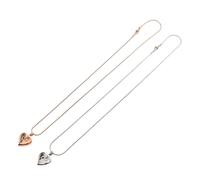 TOYANDONA Lot De 2 Colliers pour Cendres De Chat Porte-Poils De Chien Souvenir De Cendres Bijoux Urne À De Pattes Petit Récipient De Rangement Collier Commémoratif pour