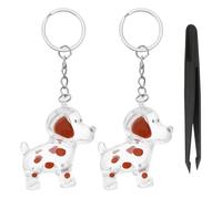 TOYANDONA Lot de 2 Porte-clés Capsules commémoratives pour Poils | Porte-clés souvenir pour poils d'animaux, avec pince à épiler, pour conserver les poils de chien ou de chat. À accrocher