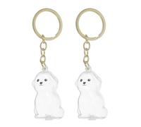 TOYANDONA Lot de 2 Porte-clés Souvenir en Poils de Chien : étui Transparent pour Souvenir commémoratif de Chien, breloque de et Porte-clés Multi-usages