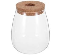 TOYANDONA Lot de 2 Vases Hydroponiques en Verre Grosse Taille avec Bouchon en Liège Percé, Contenants de Propagation pour Plantes D'intérieur, Décorations Modernes pour Bureau, Maison