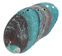 TOYANDONA Lot de 3 Bols en Coquille d'Ormeau Naturel 8-10 CM Porte-Offrande Polyvalent pour Purification Kit de Maculage et Décor d'Intérieur Accessoire pour Brûler Sauge Blanche et