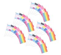 TOYANDONA Lot de 30 Drapeaux Arc-en-Ciel en Polyester pour Fête Lgbtq Décoration de Parade Colorée Bannières Portables Extérieures Drapeaux de Festival Résistants