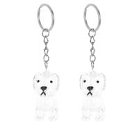 TOYANDONA Lot de 4 Porte-clés pour Poils d'animaux : Porte-clés Souvenir en Poils de Chien - Capsule commémorative Transparente pour Les propriétaires d'animaux, préservant Les Souvenirs