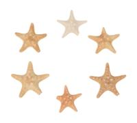 TOYANDONA Lot De 6 Décorations Diy Étoile De Mer Naturelle, Ornements Océan Faits Main, Couleur Aléatoire, Décoration D’aquarium Et Remplissage De Vase, Accessoires Créatifs Pour Amateurs De Bricolage