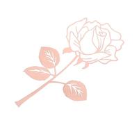 TOYANDONA Marque-pages Métallique Rose Acier Inoxydable Design Floral Creux Accessoire de Lecture Léger et Résistant pour Femmes Cadeau pour Amatrices Enseignantes