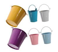 TOYANDONA Mini Seau en Métal pour Fleurs 6pcs Petit Seau Coloré pour Décoration De Fête Jardin Ou Bricolage Solide Et Facile à Nettoyer