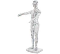 TOYANDONA Modèle Acupuncture Humain avec Méridiens et Points de Pression Mannequin Masculin Blanc pour Enseignement Traditionnel Chinois et Pratique Médicale