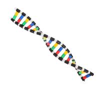 TOYANDONA Modèle Adn Bases Kit De Modèles Structure Double Hélice pour Enseignants Étudiants Sciences Classe Laboratoire