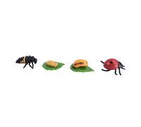 TOYANDONA Modèle Animal Coccinelle Simulation Cycle de Vie Educatif Garçon Fille Décoration Fête