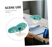 TOYANDONA Modèle Cellule Paramécie avec Support Stable Reproduction Réaliste Structure Protozoaire avec Cils Outil Pédagogique pour Laboratoire Scolaire et Enseignement Biologie Collège