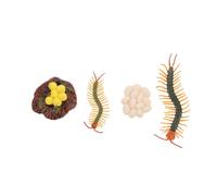 TOYANDONA Modèle Cycle de Vie Mille-Pattes Jeu Éducatif Figurines Croissance Animale pour Garçon Fille Apprentissage Biologie