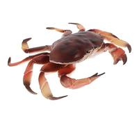 TOYANDONA Modèle de Crabe Réaliste Plastique Figurine de Crabe pour Décoration pour Éducation