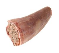 TOYANDONA Modèle de Dent Fossilisée de Dinosaure Outil Éducatif pour Paléontologie Classe Décoration Dexposition et Collection Scientifique