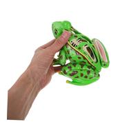 TOYANDONA Modèle de Éducatif pour Dissection Kit Scientifique Stem Détaillé avec Organes Réalistes Apprentissage Réutilisable pour Garçon et Fille