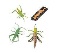 TOYANDONA Modèle de Sauterelle Plastique Éducatif Cycle de Vie Montessori Figurine Insecte Résistante et Décorative pour Garçon Fille