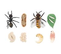 TOYANDONA Modèles Éducatifs du Cycle de Vie des Abeilles et Fourmis, Kit 2 Ensembles en Plastique, Scientifique pour Apprentissage Cognitif et Éveil Biologique des Garçon et Filles