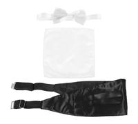 TOYANDONA Noeud pour Homme Ensemble Cummerbund et Pochette Formel Mariage Ajustable Smoking Accessoires