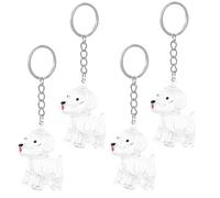 TOYANDONA Porte-clés Souvenir pour Poils D’Animaux Transparent 4 Pièces, Boîte Commémorative Compacte et Légère, Accessoire Décoratif pour Collection de Poils de Chien, Mémorial Portable