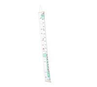 TOYANDONA Règle De Dinosaure Pour Garçon Fille Mesurez La Design Et Décoration Éducative Pour Chambre Garçon Fille Et Salle De